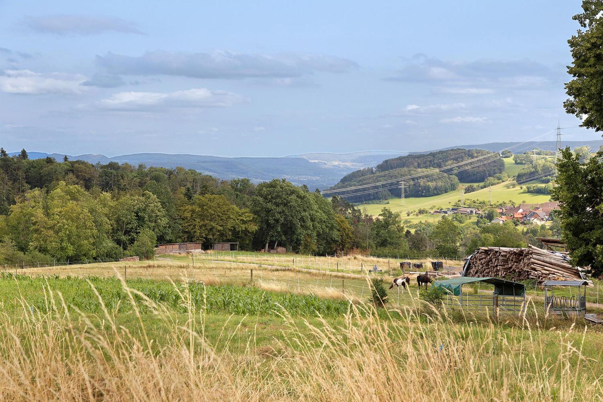 Zum Haselbach Lägenhet Weilheim Exteriör bild